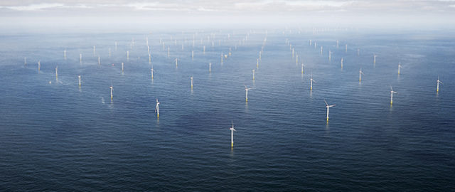 Østed Anholt